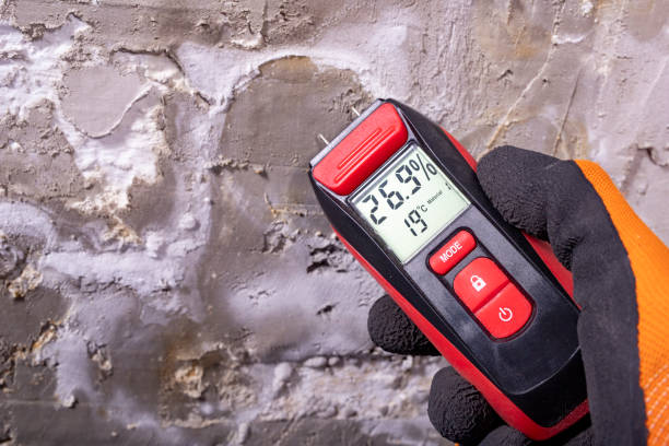 Best Mold Remediation for Schools in Linthicum, MD