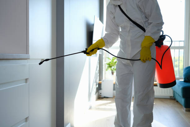 Best Industrial Mold Remediation in Linthicum, MD
