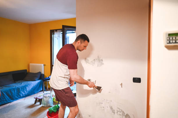 Best Black Mold Remediation in Linthicum, MD